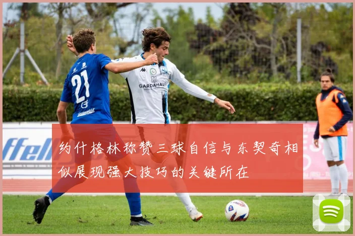 约什格林称赞三球自信与东契奇相似展现强大技巧的关键所在
